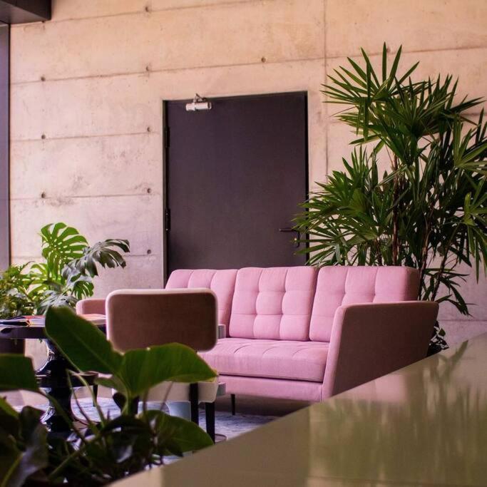 Cosmopolitan Apt 1407, 5 Star Facilities, 15M Sjo Airport, Parking, Pool, Gym San José Buitenkant foto